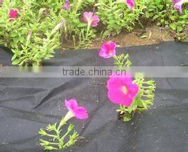 Black Weed Barrier Fabric/Anti Grass Cloth