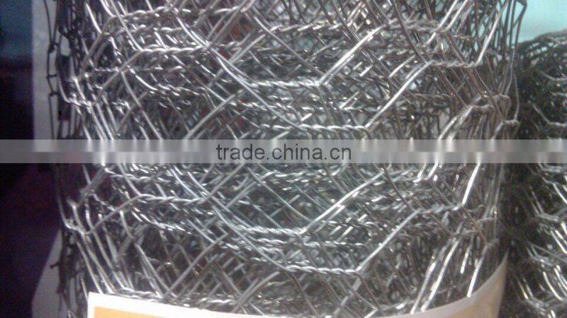 chicken fencing duck fencing mesh/hexagonal double twisted wire mesh