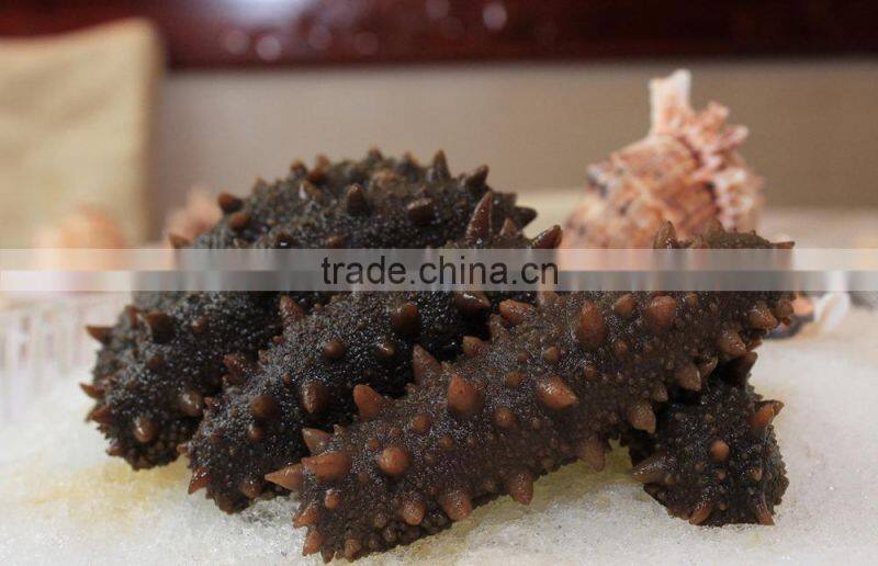 Tunnel Conveyor Belt sterilizer seaweed dryer