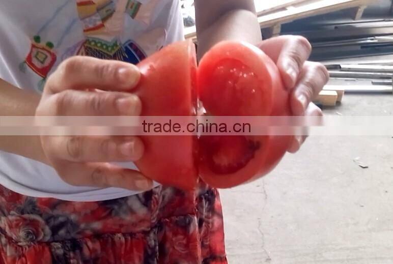 Fruit Vegetable Tomato Half Cutting Machine