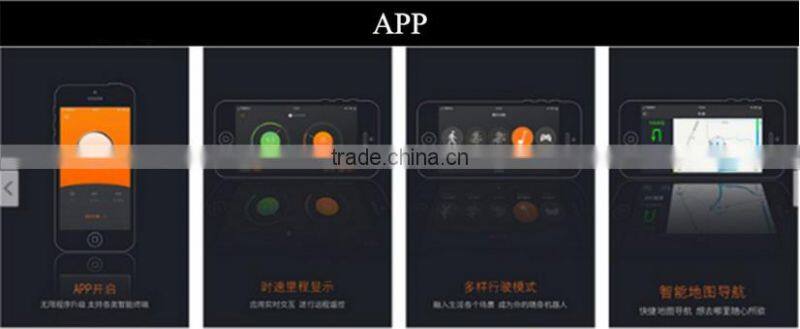 Leadway 300cc trike folding electric hoverboard scooter