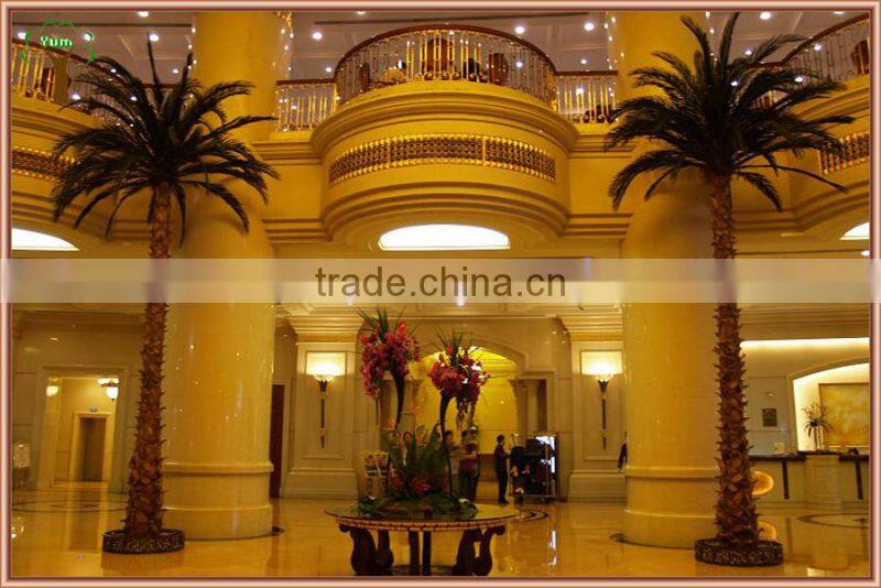 Pinnation preserved palm trees at different height for indoor decoration