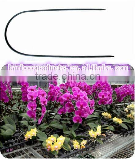 Bamboo U-shape Hoops Made Of Bamboo Stick For Agriculture Flower And Vegetable Plant Support