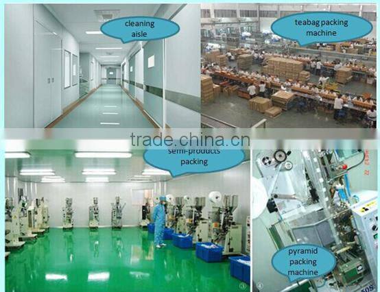 Instant Ginger Drink / Ginger Tea Powder