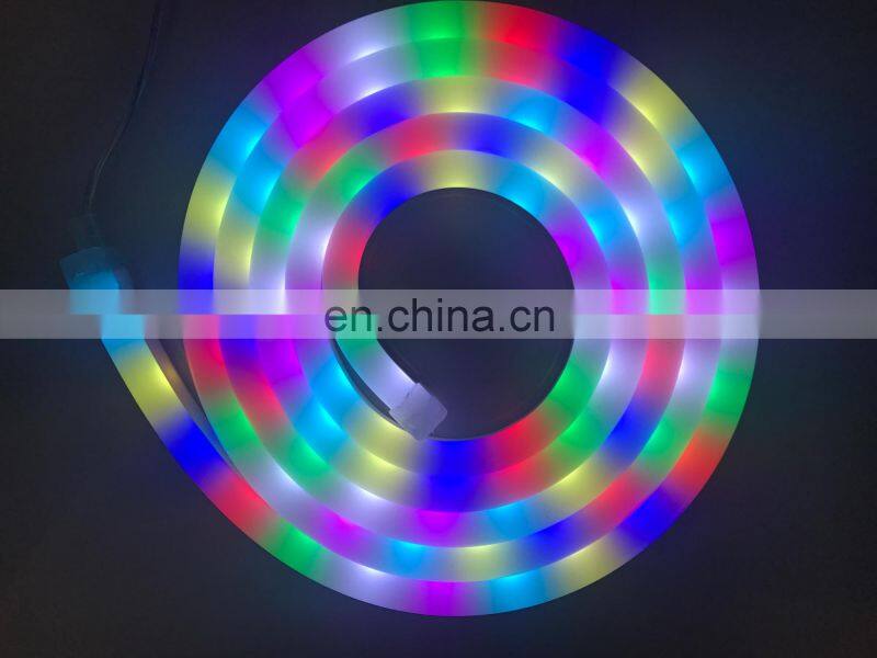 Rebow ws2811 ws2812b Digital IP67 Waterproof 5V 12V 24V Magic color rgb led flex neon DMX
