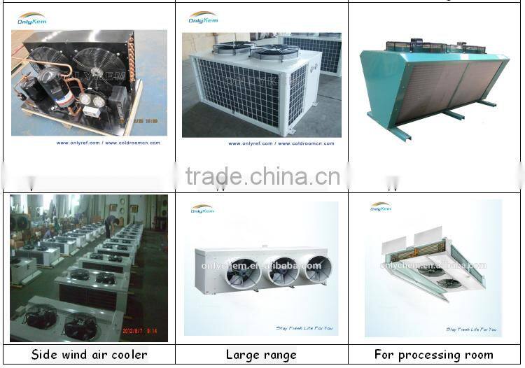 hot sale meat walk in chiller for family