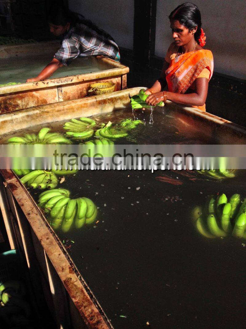 Cavendish Banana market prices - Oman market