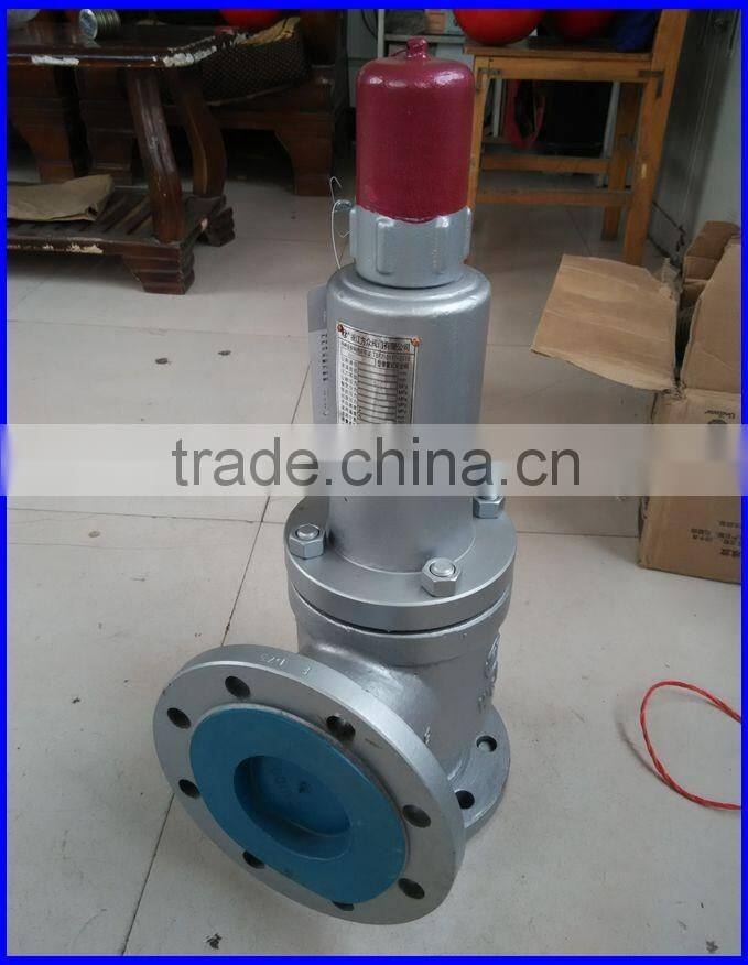 Pressure Relief Valve LPG Gas Safety Valve Small Instrument Valve