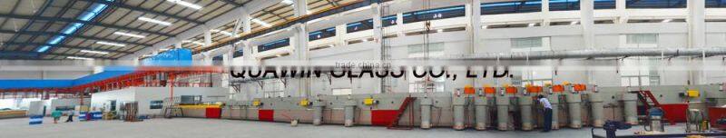 5mm Back Painted Glass/Different Colors Back Painted Glass/ Lacquered Painted Glass