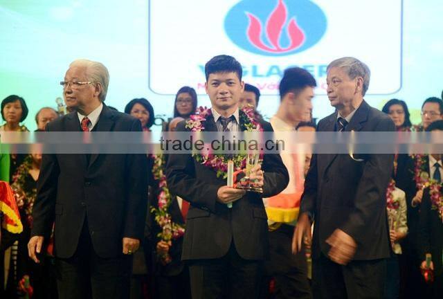 VIGLACERA 1 piece toilet S trap