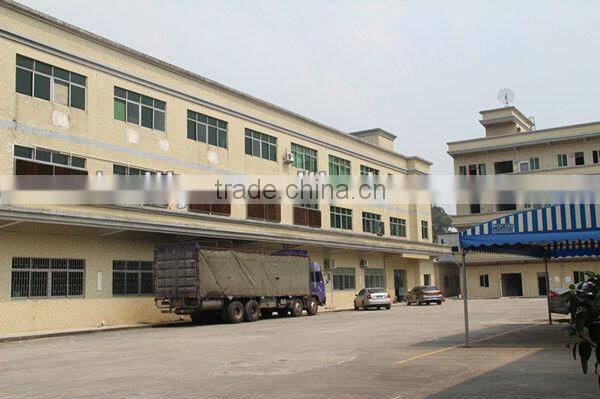 Guangdong Factory Cheap Custom Lables Printing on Garmens