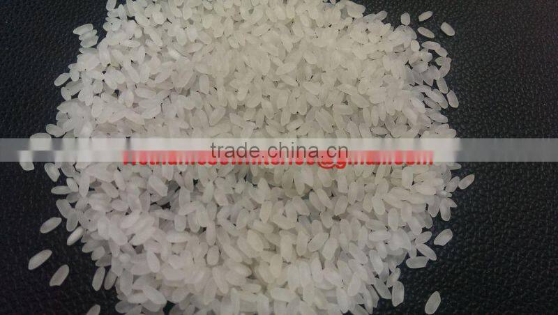 VIETNAMESE MEDIUM GRAIN RICE - CALROSE RICE - VINAFOOD 1.