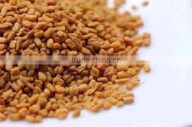 Pure Fenugreek (Methee)
