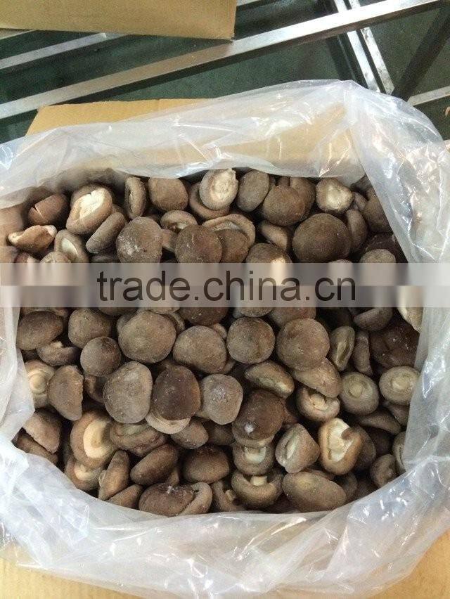 IQF shiitake mushroom