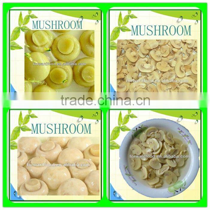 800g Canned Mushroom Slices in Brine