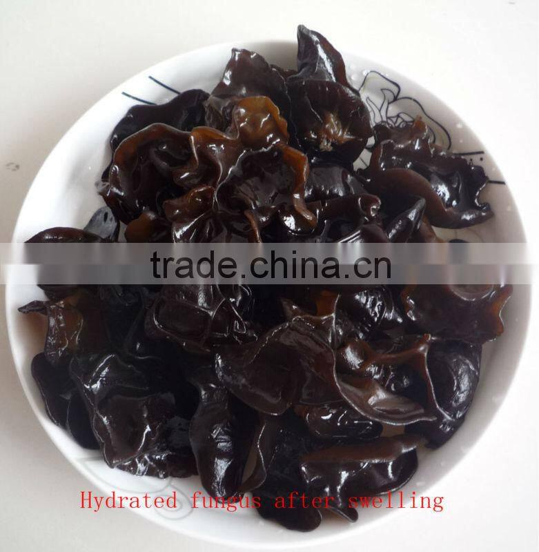 2013 New crop dried Black Fungus