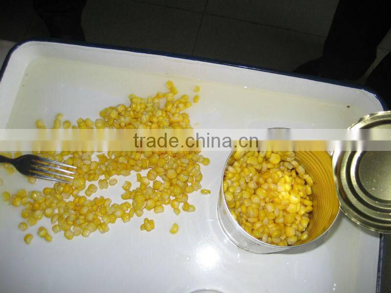 brine preservation and canned packaging sweet corn yellow corn