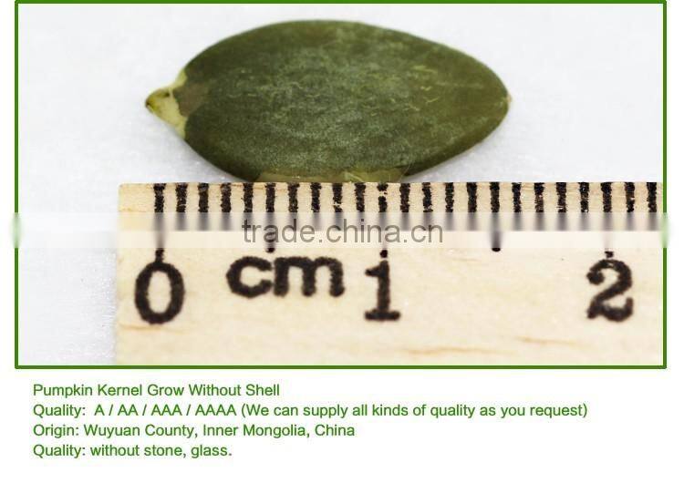 Wholesale Chinese organic pumpkin seeds without shell grade AAA