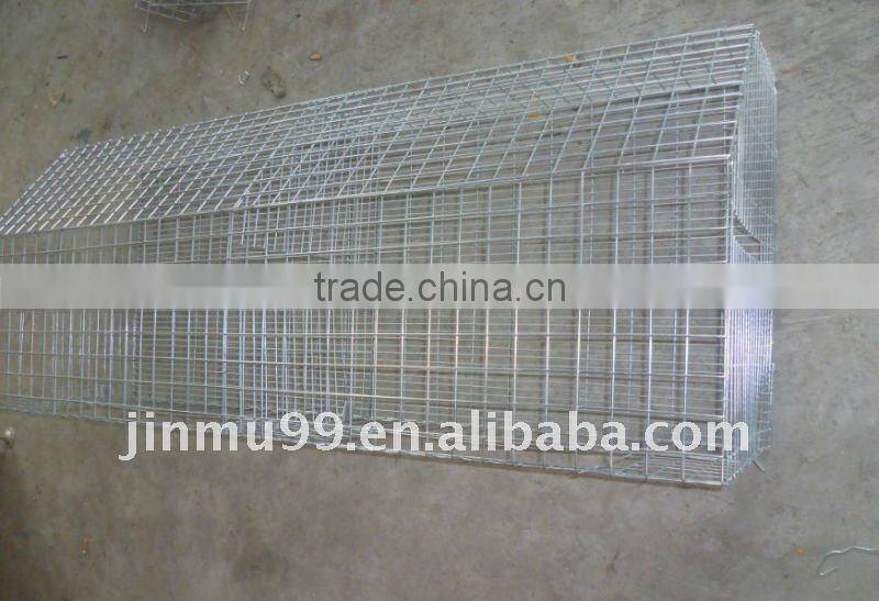 broiler chicken cage egg layer cage made in China