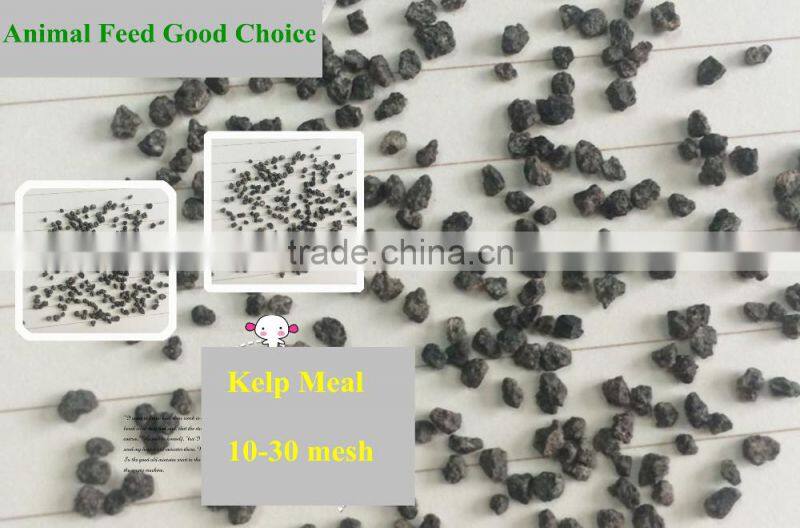 Wholesale Price of Natural Feed Additives Kelp Meal
