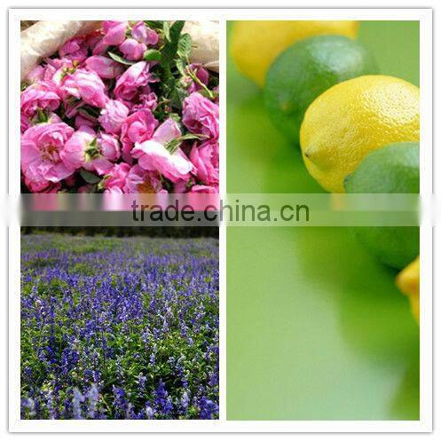 50L stainless steel rosemary essential oil extractor on sale