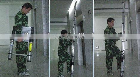 Casing telescopic aluminum ladder