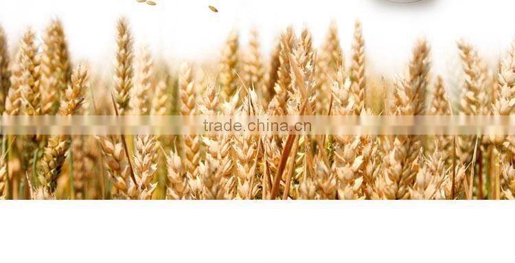 Fine dried noodle supplier gluten free dry noodles