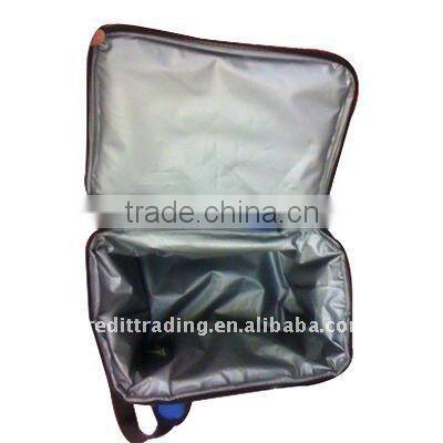 new design cooler bag for frozen food