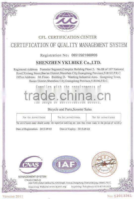 Selling Like Hotcakes !!AEST electric scooter with lithium battery configuration On Hot Sales