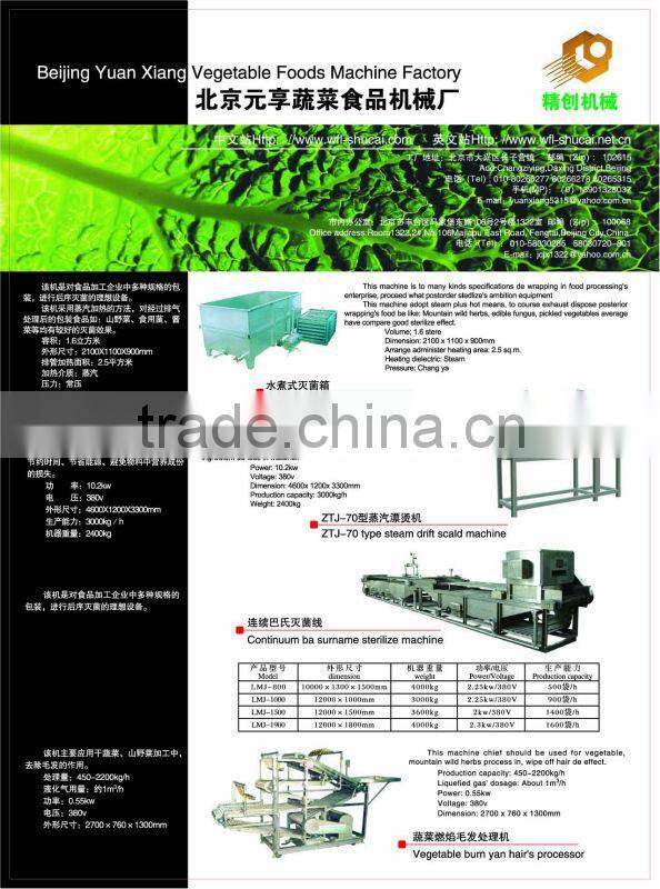 Vegetable Soaking Machine/Vegetabel Washer