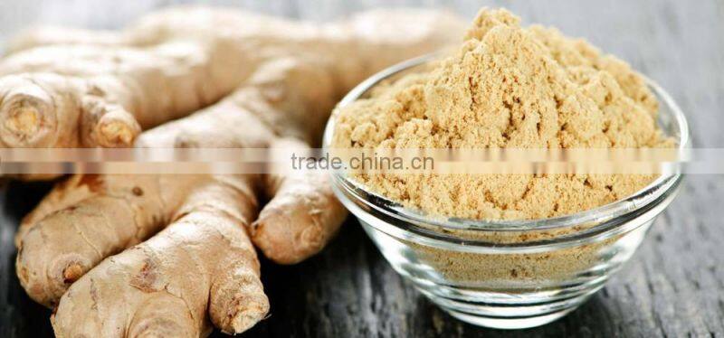 ISO Certified Ginger Powder Bulk Exporter