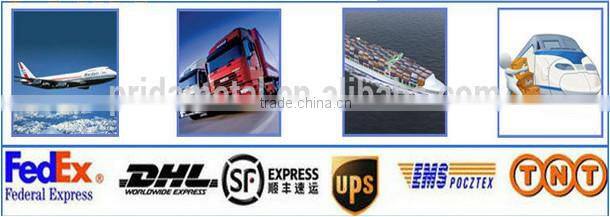 stainless steel elbow price for sale