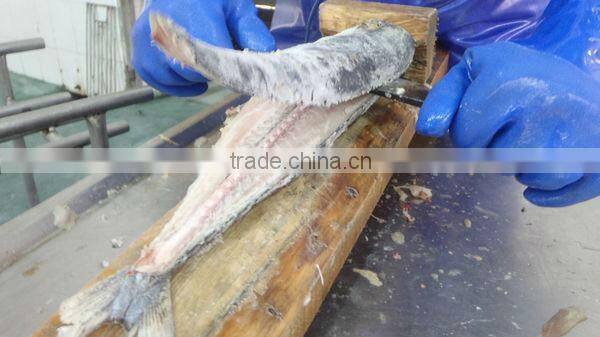 Frozen spanish mackerel fillets