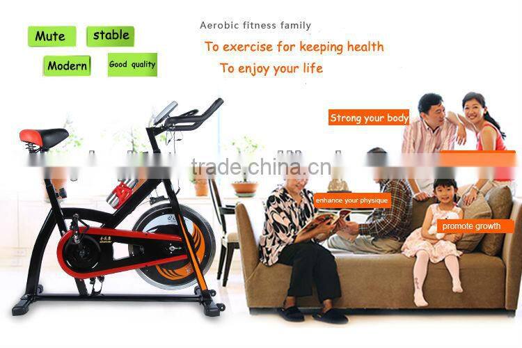 Home GYM Indoor Spinning Exercise spin Bike for adult