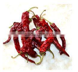 Big Size Chili Cutting Ring Chili Segment Chili Circle