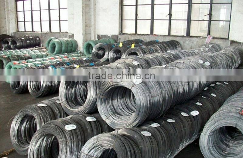 SAIP Annealed Wire rod for screw