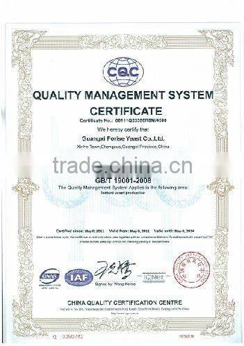 that dry yeast 500 gram instant dry Yeast