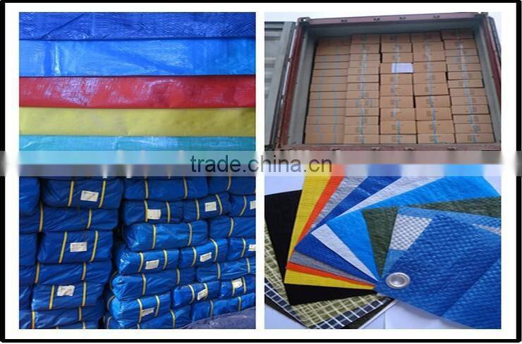 China coloured TARPAULIN tarps finished tarpaulin colored custom size triangle plastic pp rope anti-aging sunscreen feezen-proof