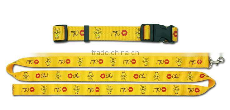 Humanity designed durable retractable pet leashes/pet collars, hot selling