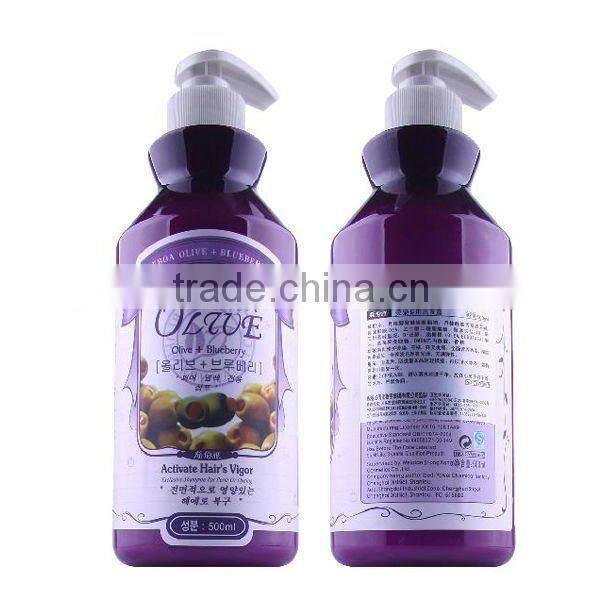 Ceboa Olive &Blueberry Fast Hair Dye Shampoo