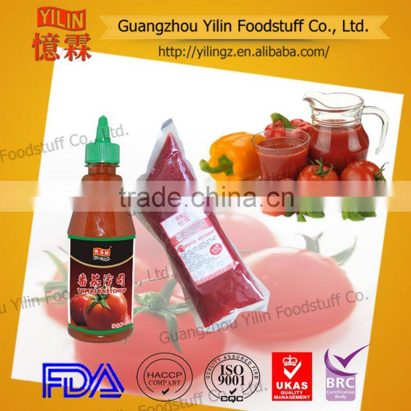 500g PE bag tomato ketchup made in China manufacturer