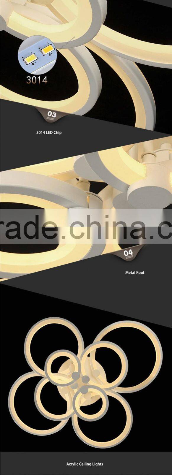 Hot Selling 100W Modern Ceiling Lights Stainless Steel 220V Simple Ceiling Lamps