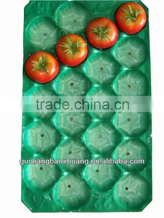 Hot Sale 5LB/10LB/15LB Fresh Tomato Tray Packaging