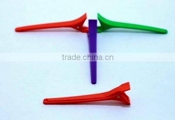 fashionable hair clip