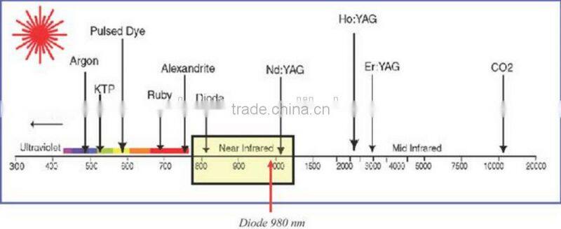 Newest Diode 980nm laser for vascular veins removal for sale rbs03