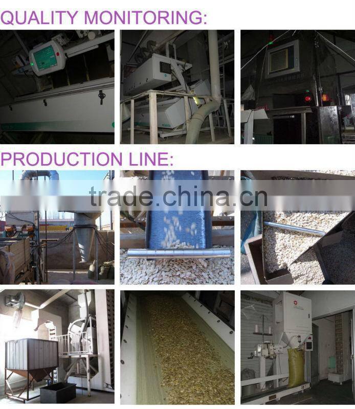 China Raw Edible Pumpkin Seeds