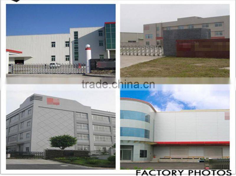 65g bag Halal vegetable flavor Instant noodle