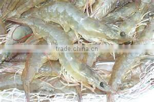 Frozen vananmei Shrimp Penaeus Vannamei
