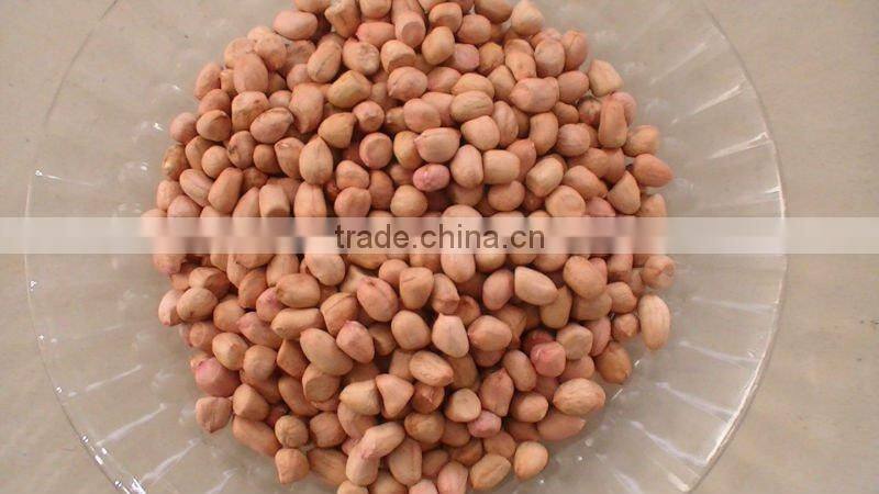 shandong blanched peanut kernel 35/39