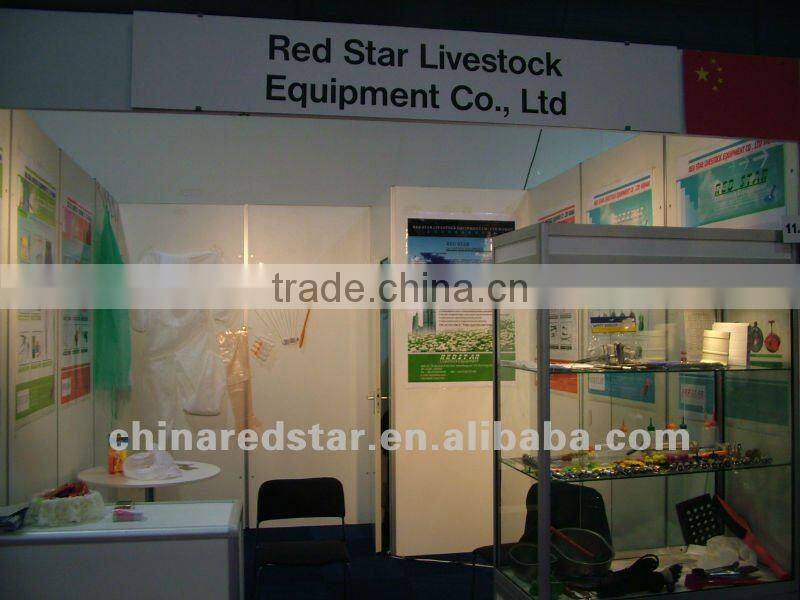 Disposable Vinyl Examination Gloves